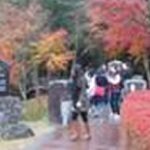 在京外国人留学生による阿蘇モニターツアー